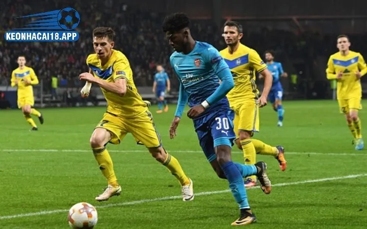 Kinh nghiệm cá cược cúp c2 cho người mới bắt đầu